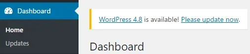 Update Wordpress